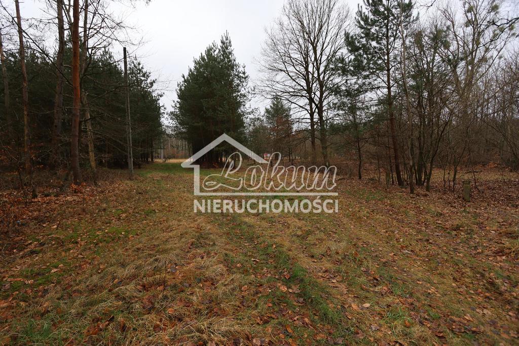 Działka budowlana 3249 m², Krzywice - zdjęcie 7
