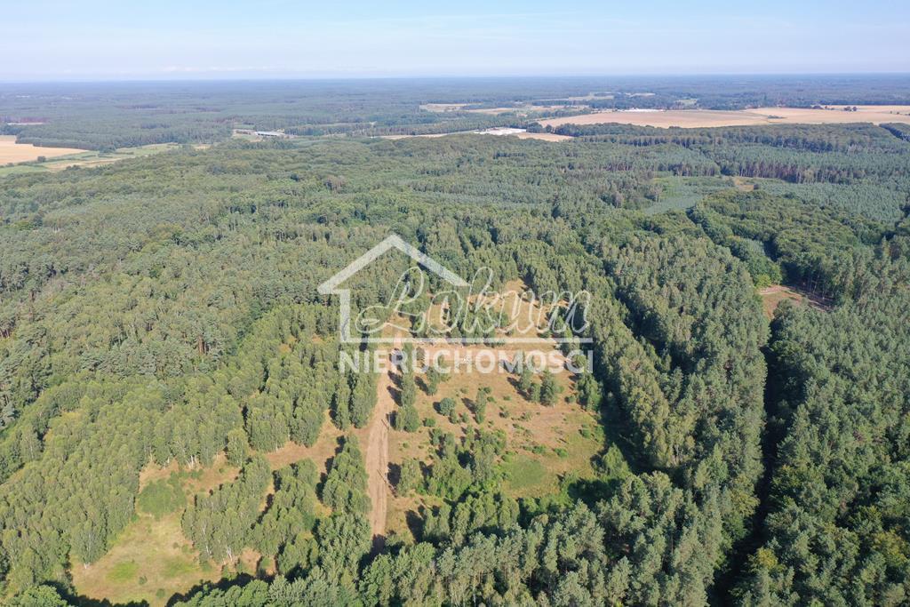 Działka budowlana 3249 m², Krzywice - zdjęcie 4
