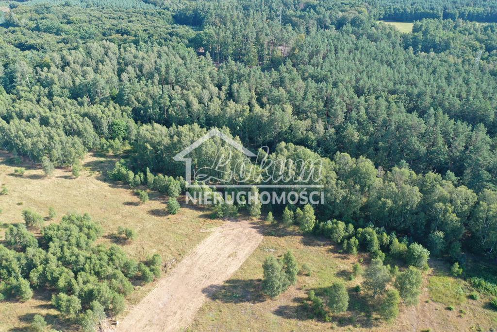 Działka budowlana 3249 m², Krzywice - zdjęcie 1