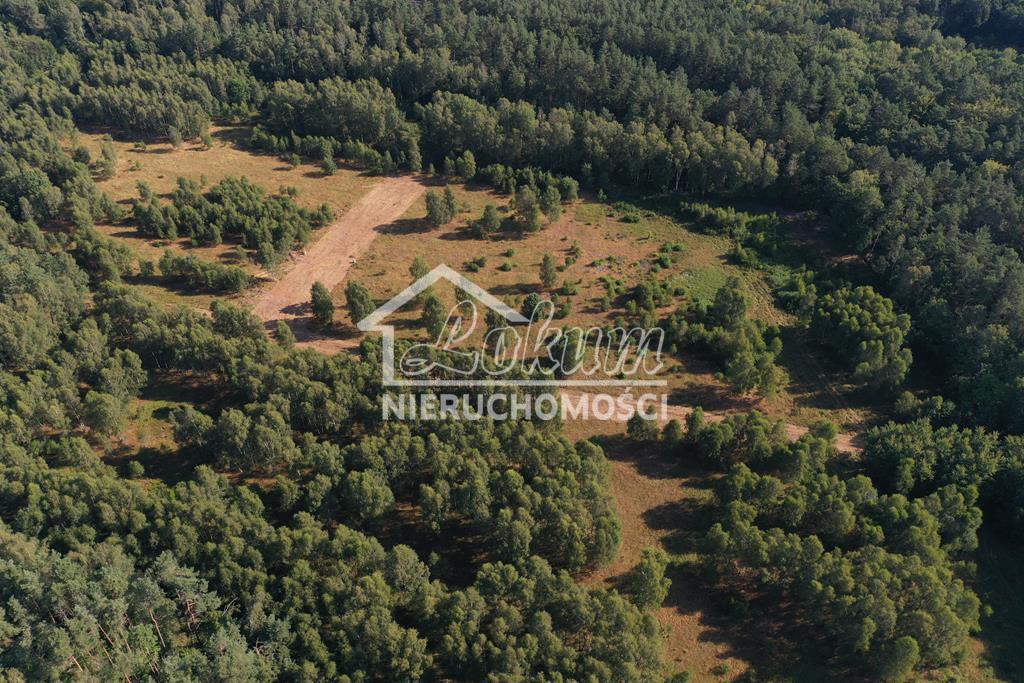 Działka budowlana 3249 m², Krzywice - zdjęcie 2