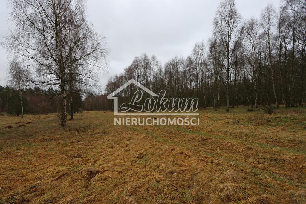 Działka budowlana 3249 m², Krzywice - zdjęcie 8