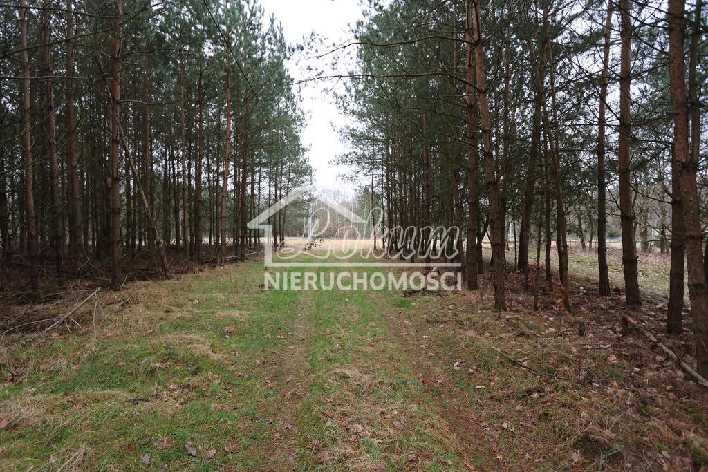 Działka budowlana 3249 m², Krzywice - zdjęcie 6