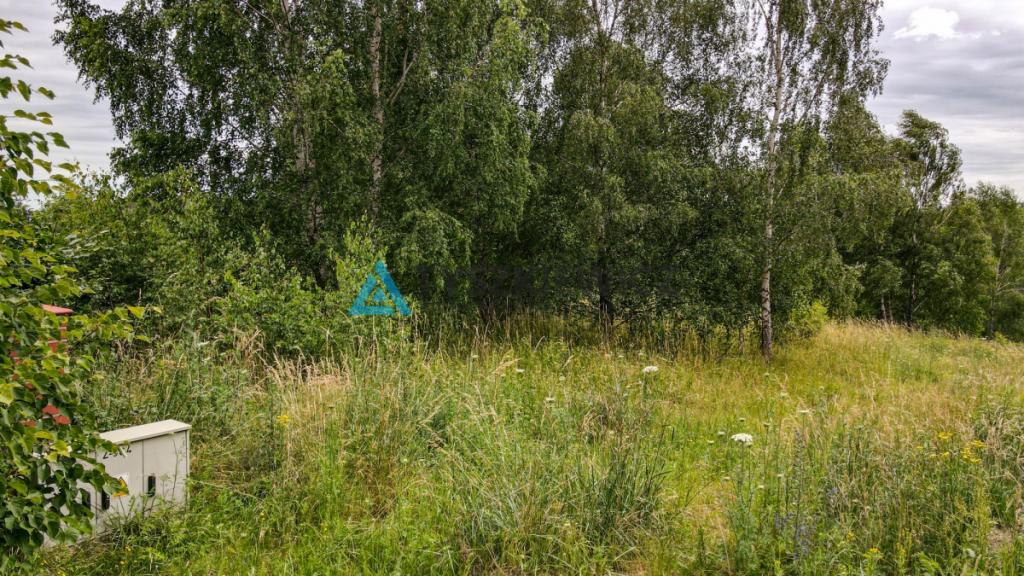Malownicza działka Borkowie - zdjęcie 12