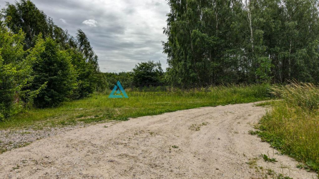Malownicza działka Borkowie - zdjęcie 11