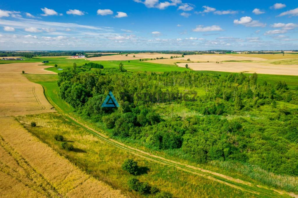 Piękna działka 0,64 ha - rolna - zdjęcie 6