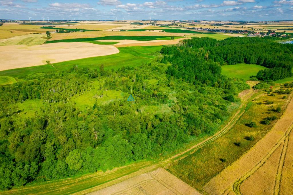 Piękna działka 0,64 ha - rolna - zdjęcie 2