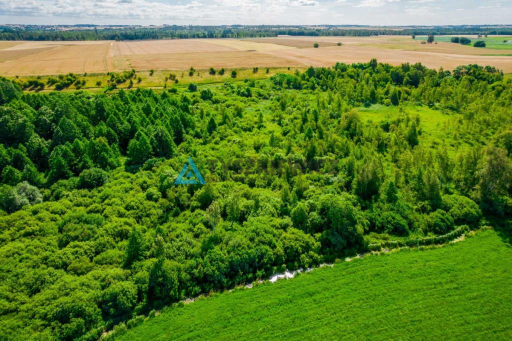 Piękna działka 0,64 ha - rolna - zdjęcie 4
