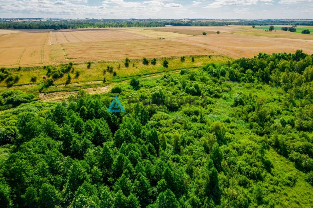 Piękna działka 0,64 ha - rolna - zdjęcie 8