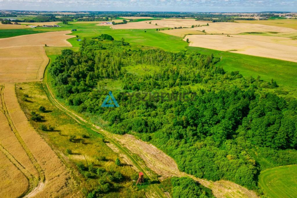 Piękna działka 0,64 ha - rolna - zdjęcie 3