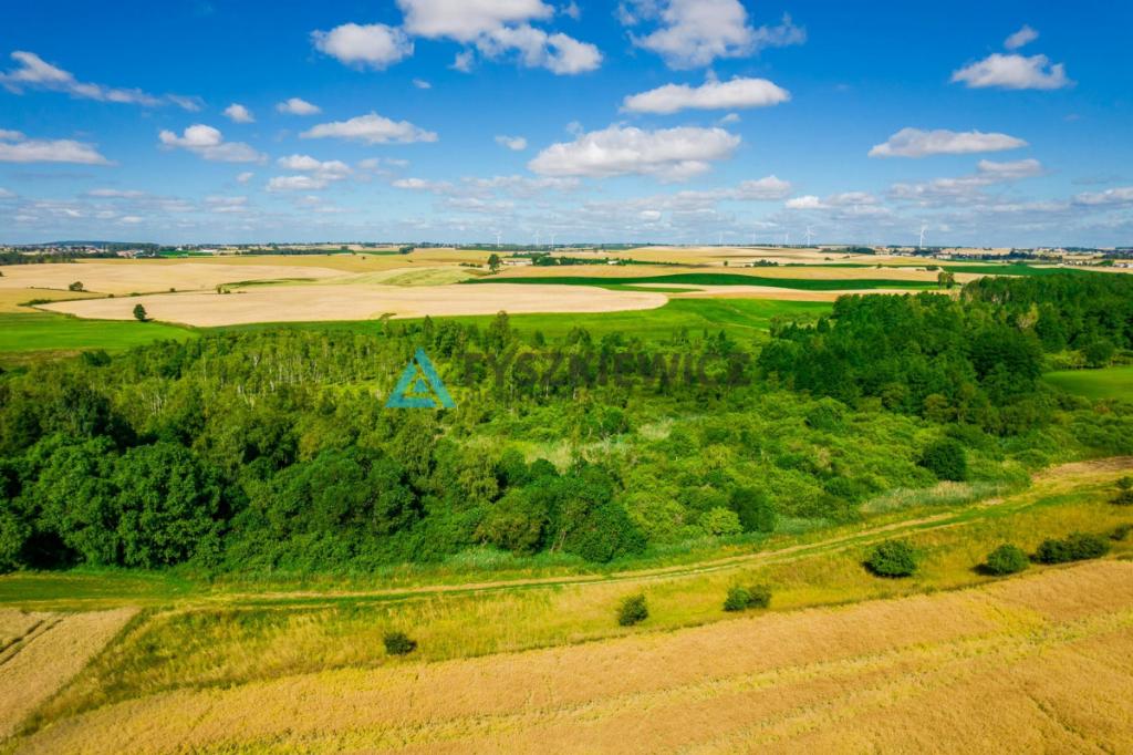 Piękna działka 0,64 ha - rolna - zdjęcie 5