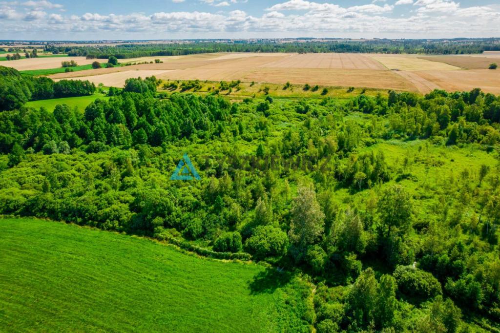 Piękna działka 0,64 ha - rolna - zdjęcie 9