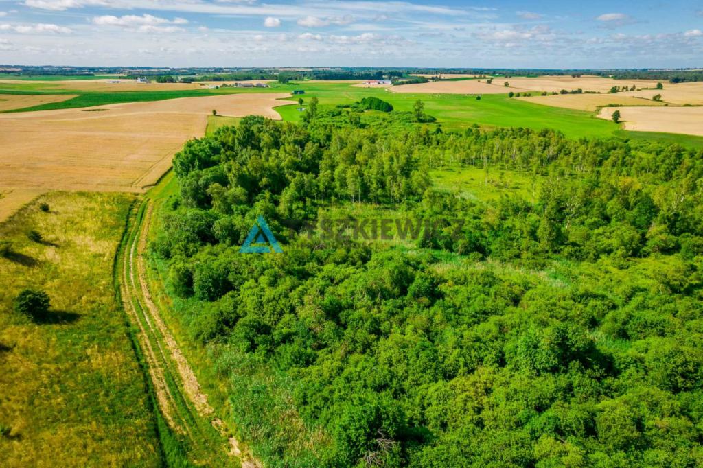 Piękna działka 0,64 ha - rolna - zdjęcie 7