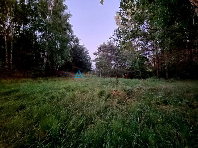 Działka z potencjałem nad brzegiem jeziora Cheb - zdjęcie 8