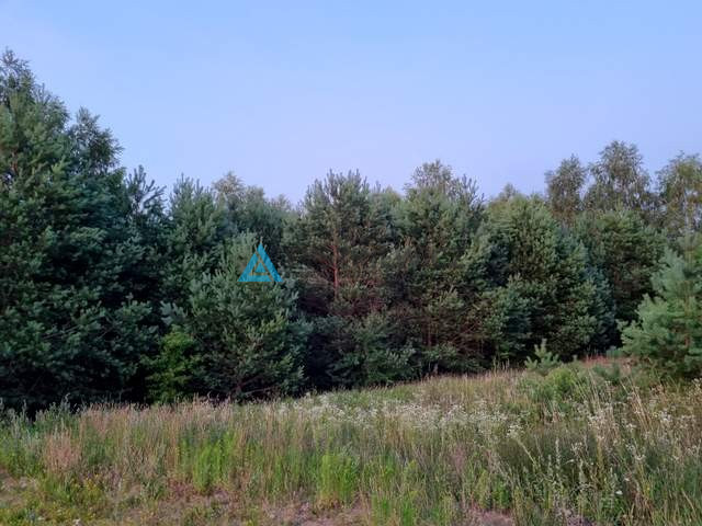 Działka z potencjałem nad brzegiem jeziora Cheb - zdjęcie 5