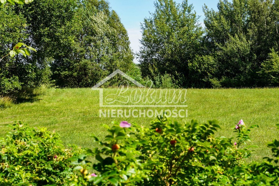 Działka rolna 1,65&nbsp;ha, Małe Węgorzynko - zdjęcie 1