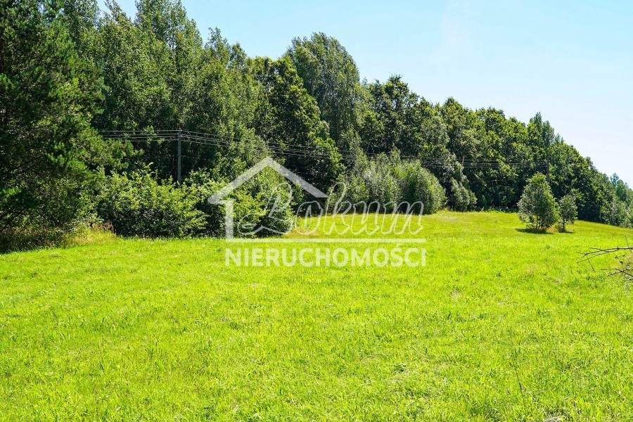 Działka rolna 1,65&nbsp;ha, Małe Węgorzynko - zdjęcie 5
