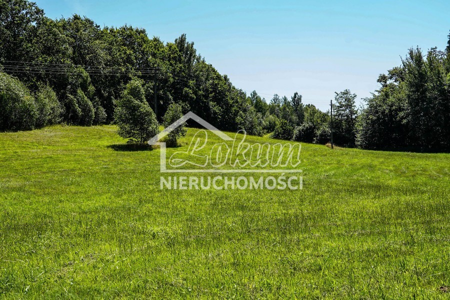 Działka rolna 1,65&nbsp;ha, Małe Węgorzynko - zdjęcie 3