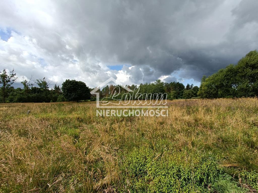 Działka rolna 2,20 ha, Żarowo - zdjęcie 9