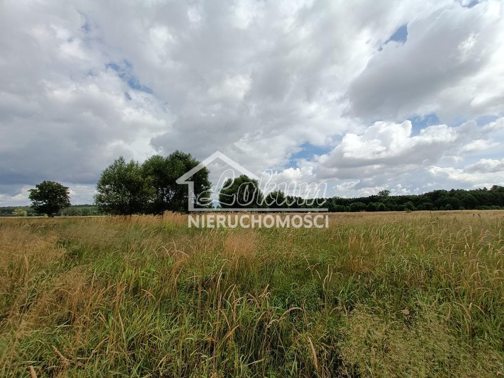 Działka rolna 2,20 ha, Żarowo - zdjęcie 8