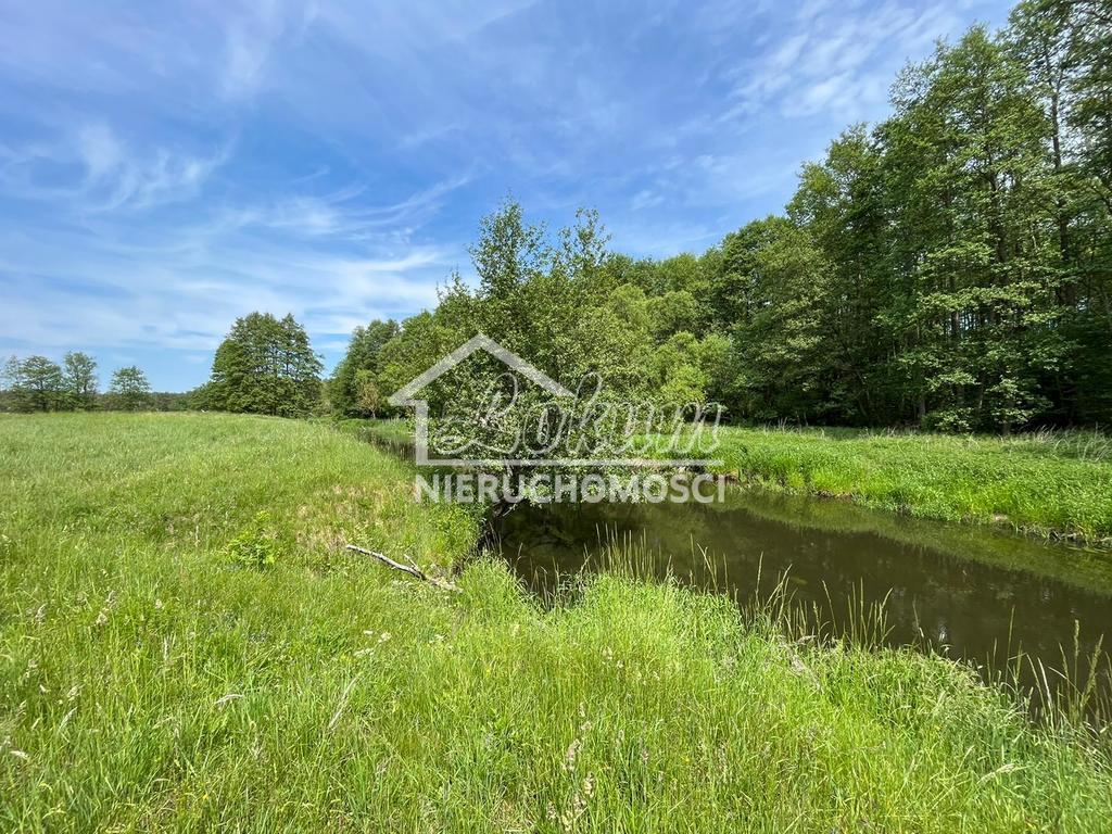 Działka rolna 2,20&nbsp;ha, Żarowo - zdjęcie 3