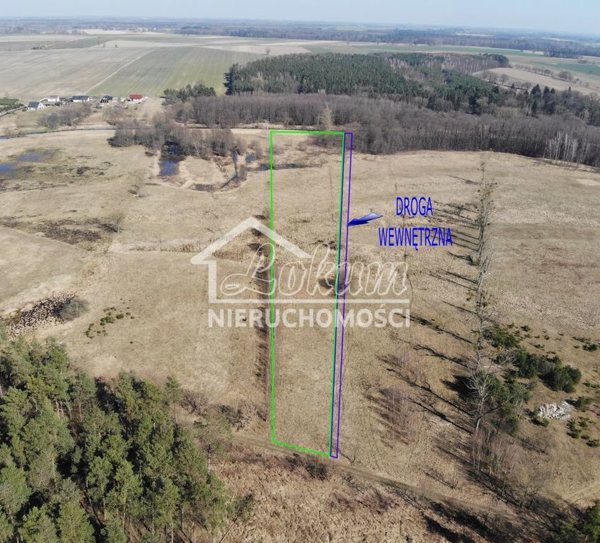 Działka rolna 2,20&nbsp;ha, Żarowo - zdjęcie 4