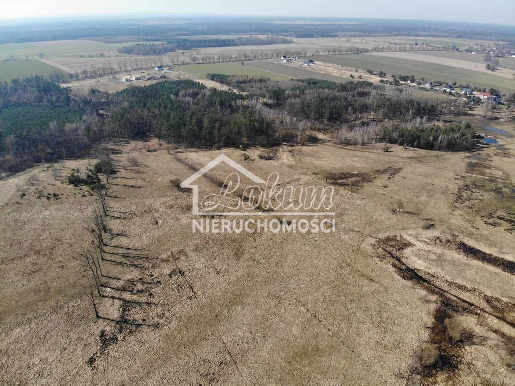 Działka rolna 2,20&nbsp;ha, Żarowo - zdjęcie 2