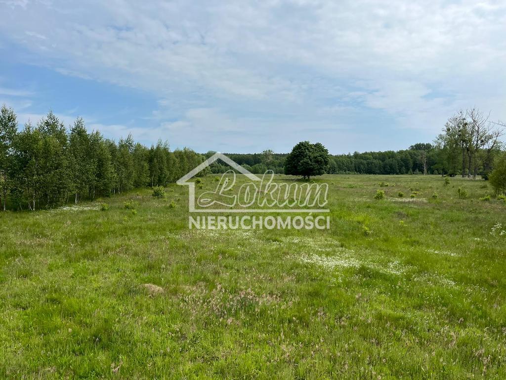 Działka rolna 2,20 ha, Żarowo - zdjęcie 7