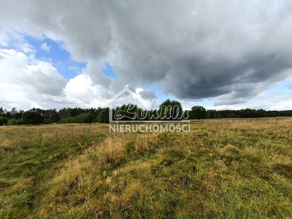 Działka rolna 2,20&nbsp;ha, Żarowo - zdjęcie 6