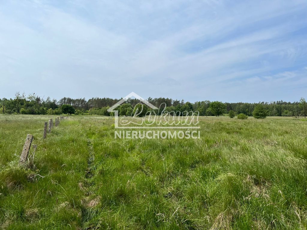 Działka rolna 2,20 ha, Żarowo - zdjęcie 5