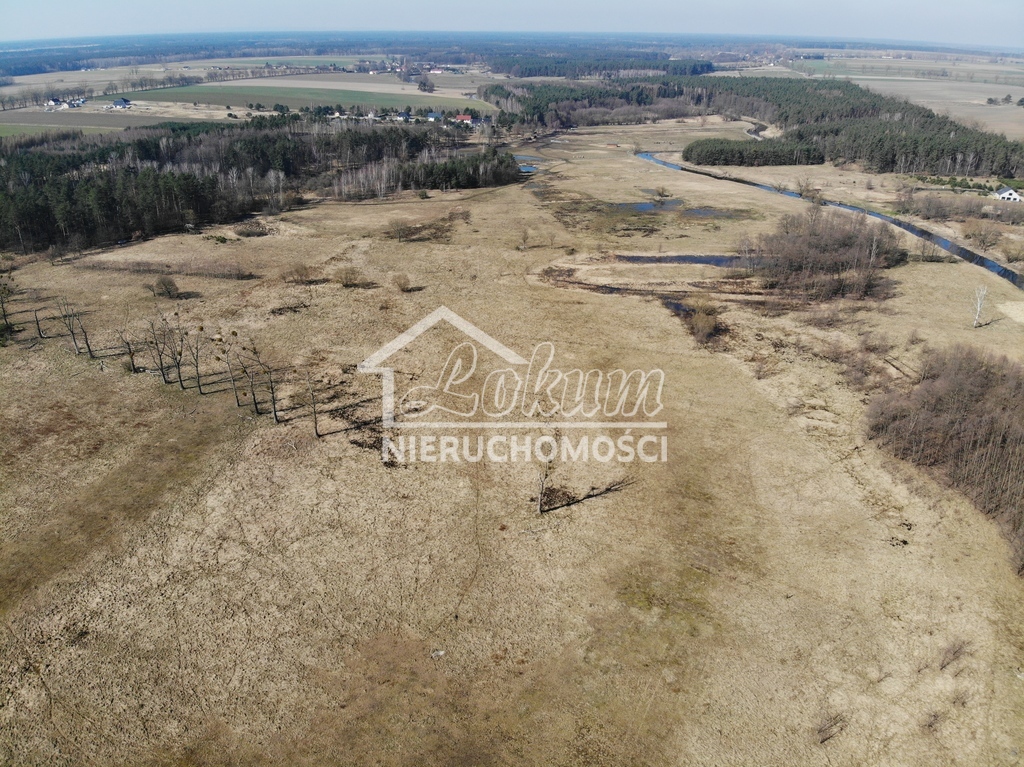 Działka rolna 2,20&nbsp;ha, Żarowo - zdjęcie 1