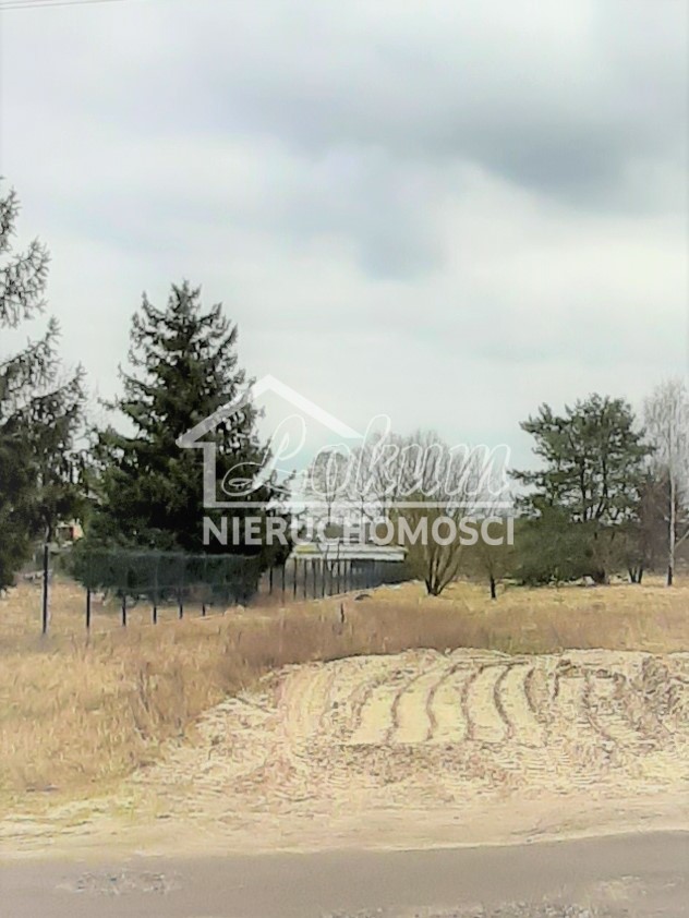 Wynajmę działkę 3500&nbsp;m², Tanowo - zdjęcie 3