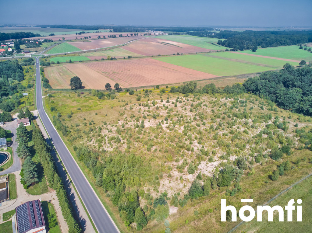 Działka inwestycyjna 4,84 ha, Żarów, Strefowa - zdjęcie 6