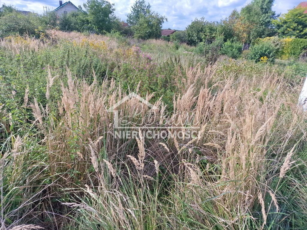 Działka budowlana 1000 m², Wołczkowo - zdjęcie 2