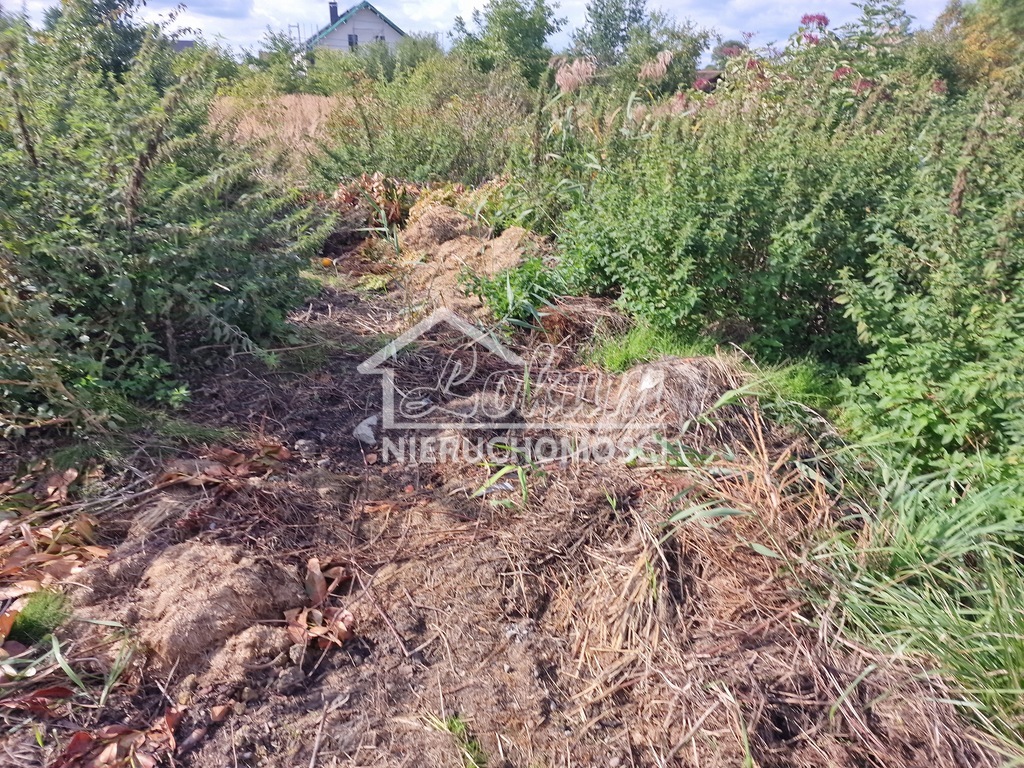 Działka budowlana 1000 m², Wołczkowo - zdjęcie 3