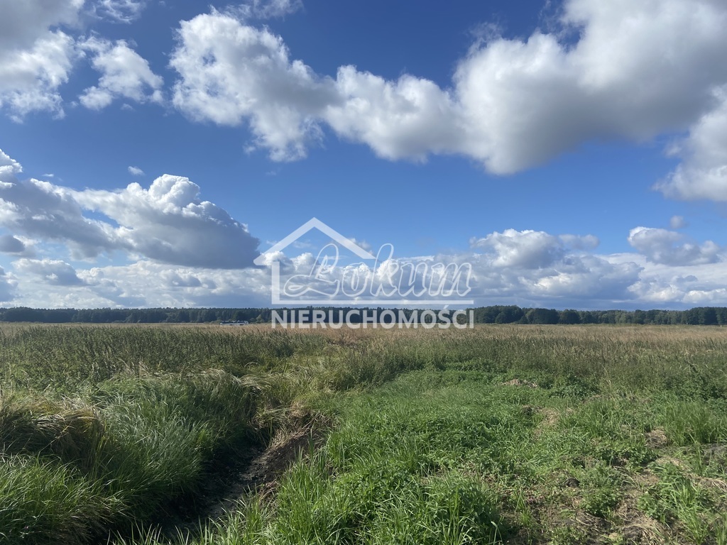 Działka budowlana 1161&nbsp;m², Dobra - zdjęcie 2