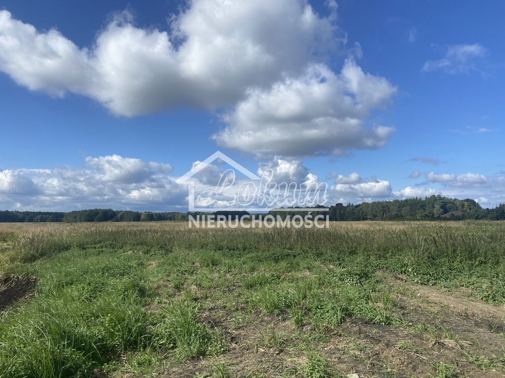 Działka budowlana 1161 m², Dobra - zdjęcie 3