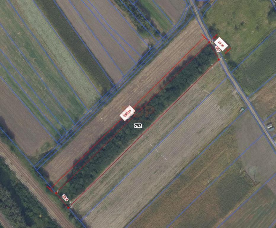 Działka inwestycyjna 5795 m², Radwanice, Katarzyńska - zdjęcie 2