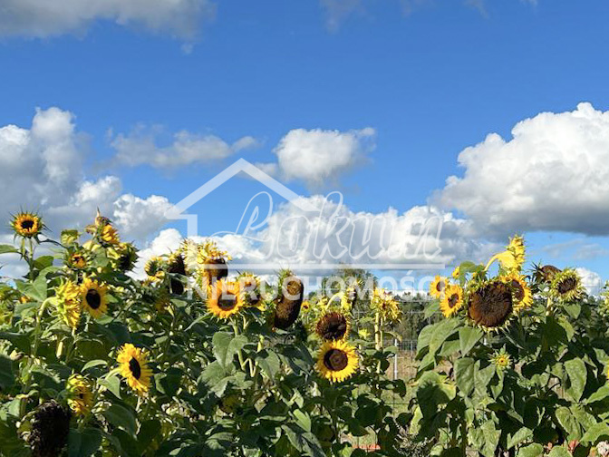 Dom 35 m², Białuń - zdjęcie 17