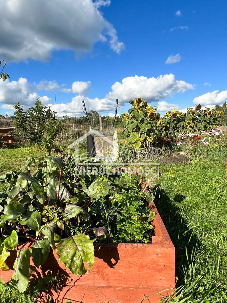 Dom 35 m², Białuń - zdjęcie 13