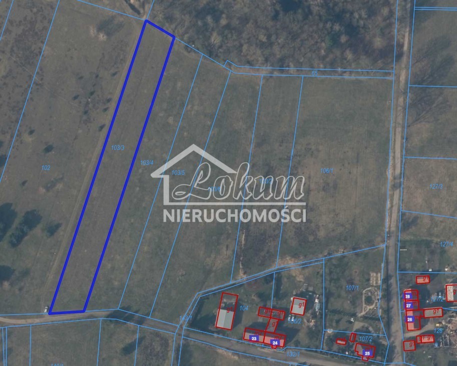 Działka budowlana 5839 m², Przybiernów - zdjęcie 4