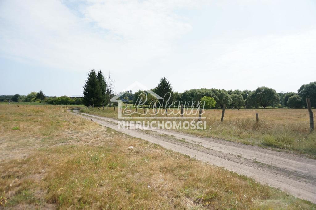 Działka budowlana 5839 m², Przybiernów - zdjęcie 1