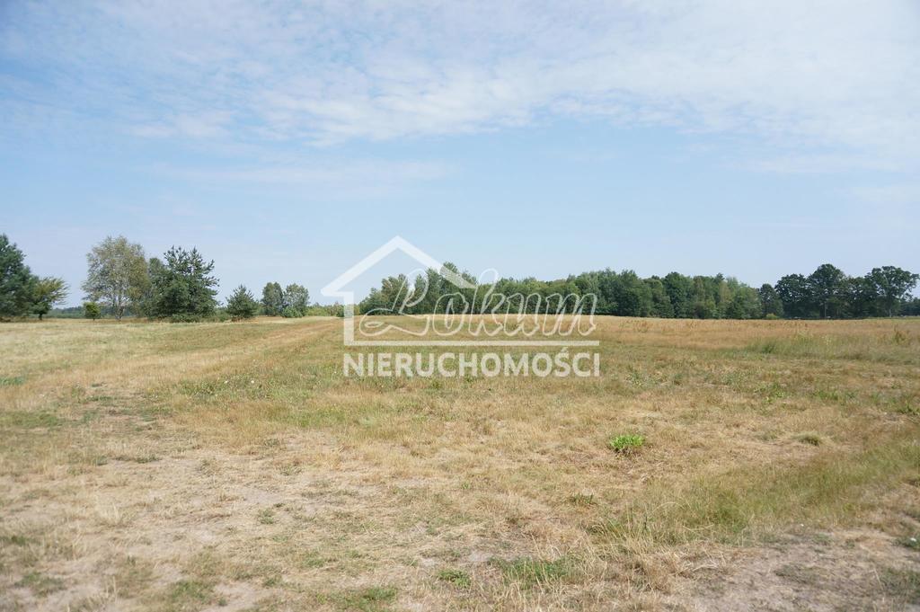 Działka budowlana 5839 m², Przybiernów - zdjęcie 2