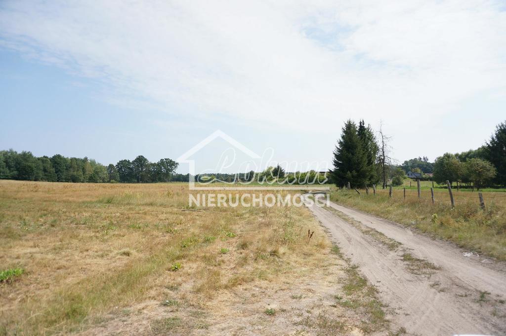 Działka budowlana 5839 m², Przybiernów - zdjęcie 3