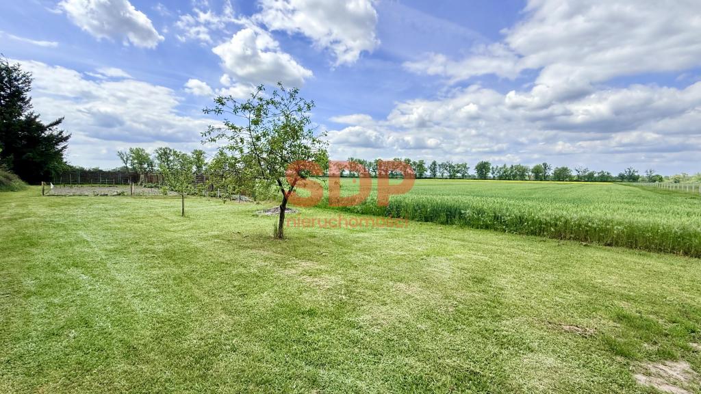 Dom 450 m², Lubiel - zdjęcie 5
