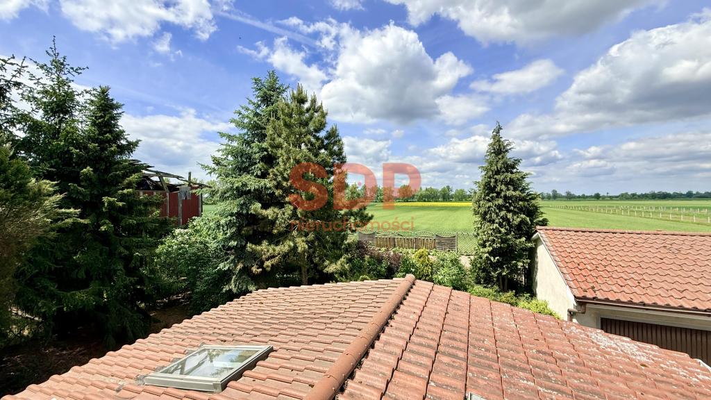 Dom 450 m², Lubiel - zdjęcie 3