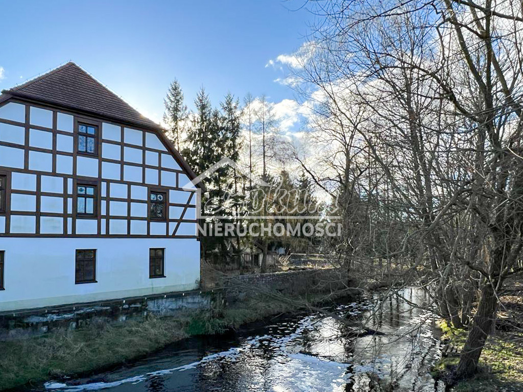 Lokal usługowy na sprzedaż, 1522&nbsp;m², Babigoszcz - zdjęcie 2