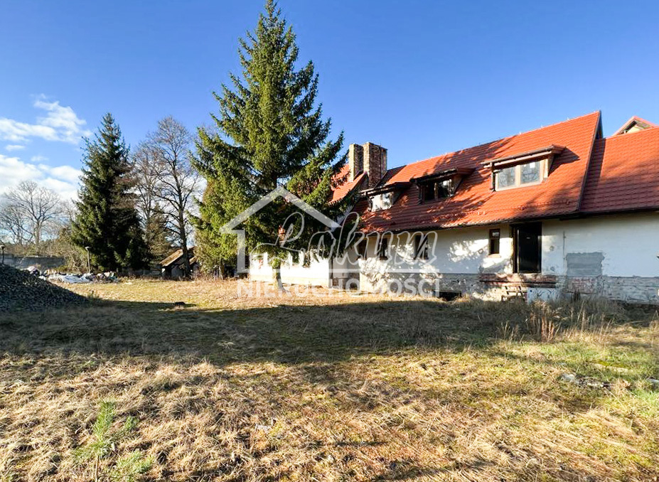 Lokal usługowy na sprzedaż, 1522&nbsp;m², Babigoszcz - zdjęcie 4