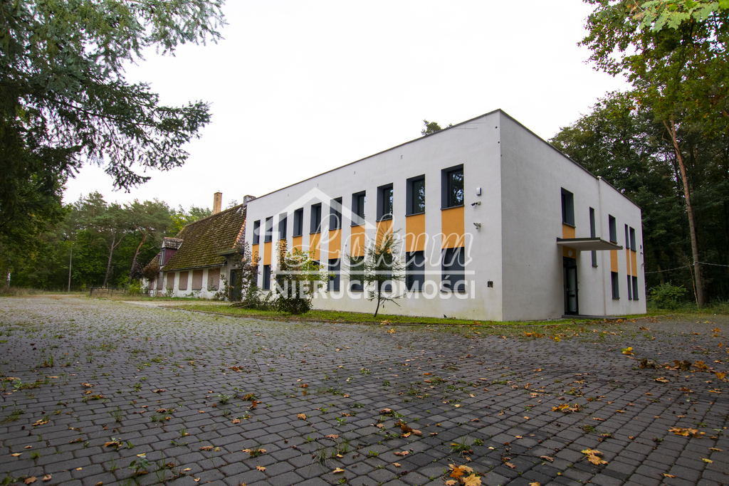 Lokal biurowy do wynajęcia, 433&nbsp;m², Trzeszczyn - zdjęcie 6