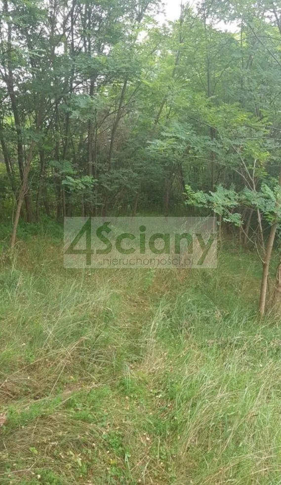 Działka budowlana 3053&nbsp;m², Sulejówek - zdjęcie 2