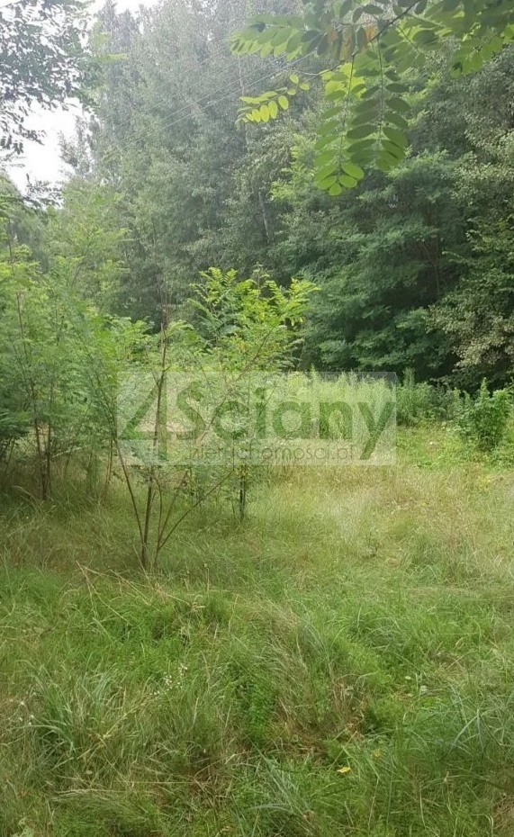 Działka budowlana 3053&nbsp;m², Sulejówek - zdjęcie 1